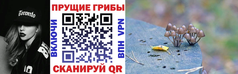 магазин    Семикаракорск  OMG ссылка  Галлюциногенные грибы MAGIC MUSHROOMS 